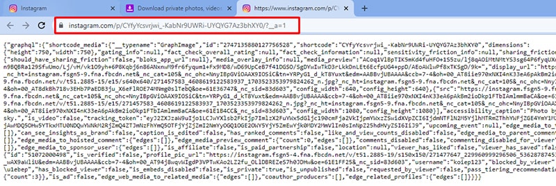 Paste the link into the browser's access tab in a new tab