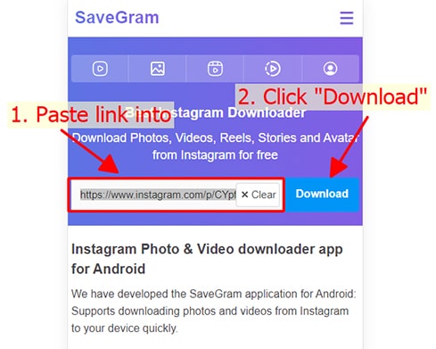 Paste the Instagram link into Savegram