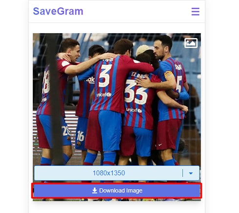 press the download button